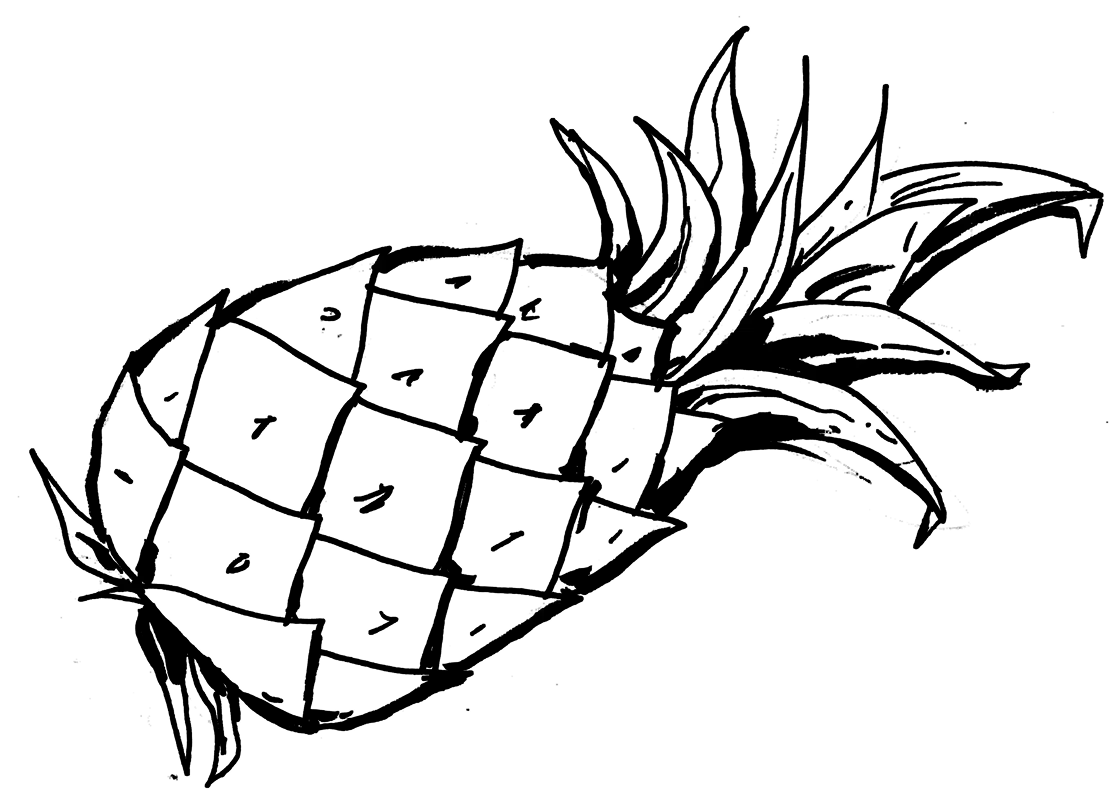 ctn shape