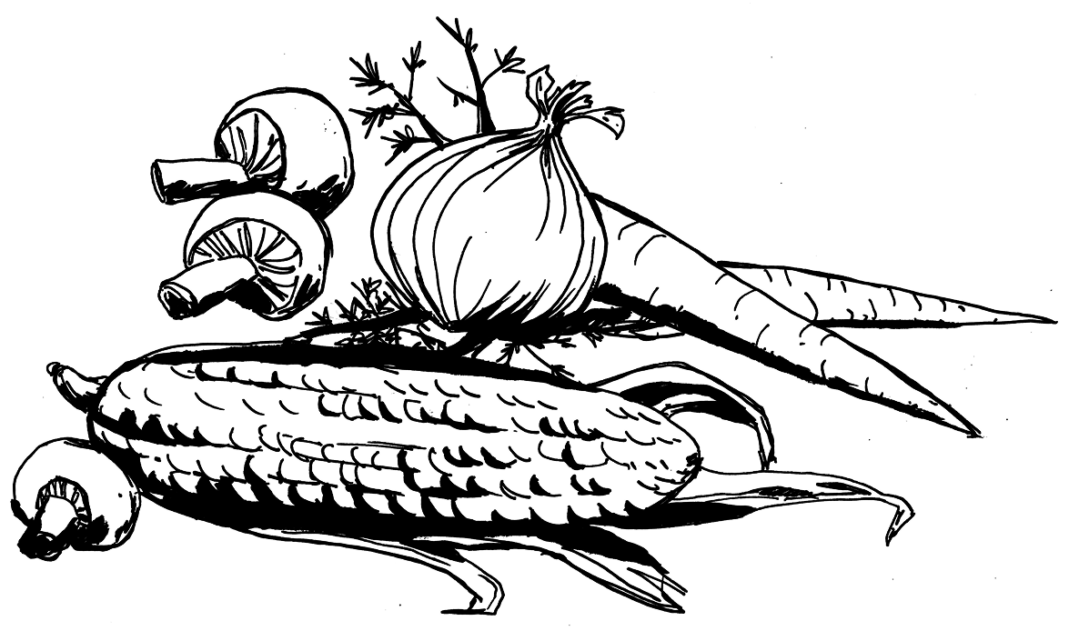 ctn shape